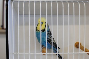 1O