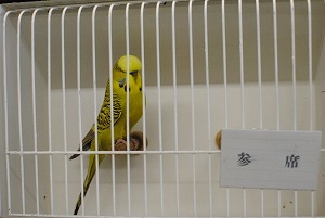 PO